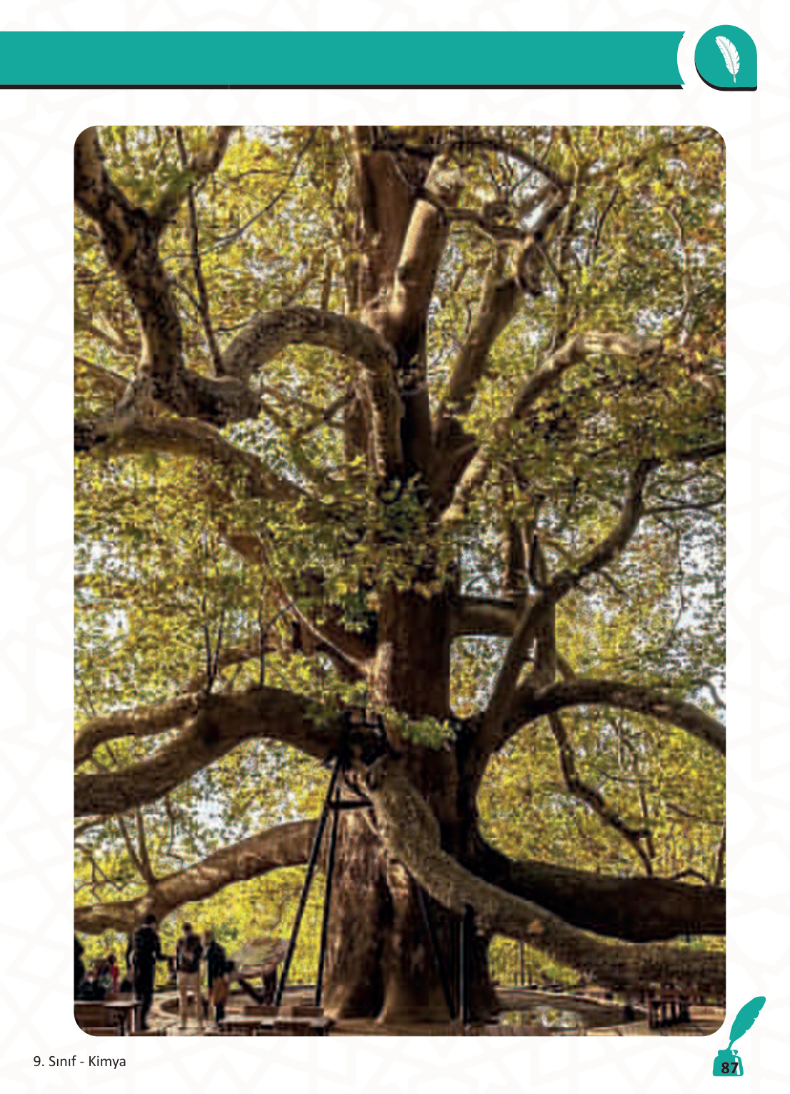 Sayfa 89